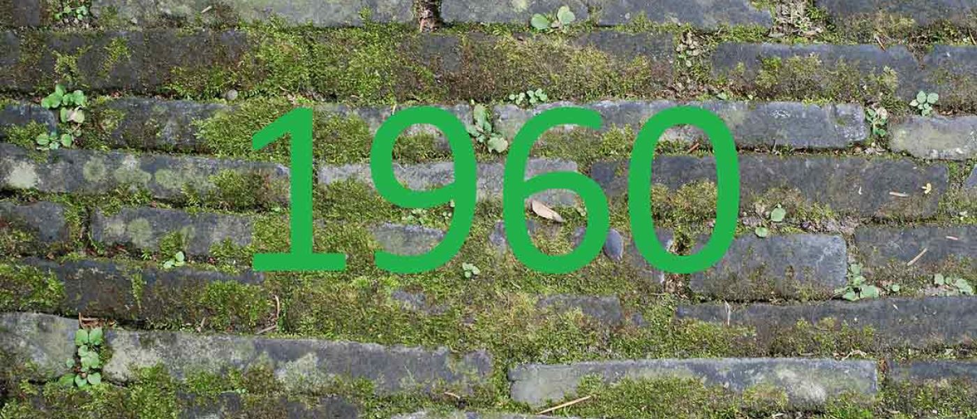 Eine grüne Zahl 1960 vor einer grauen Steinmauer - Zahl des Monats 1960