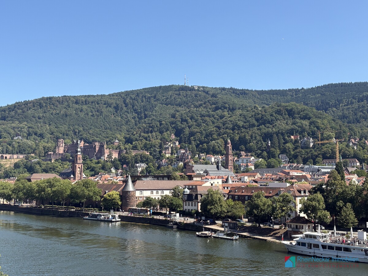 Schloss mit Neckar