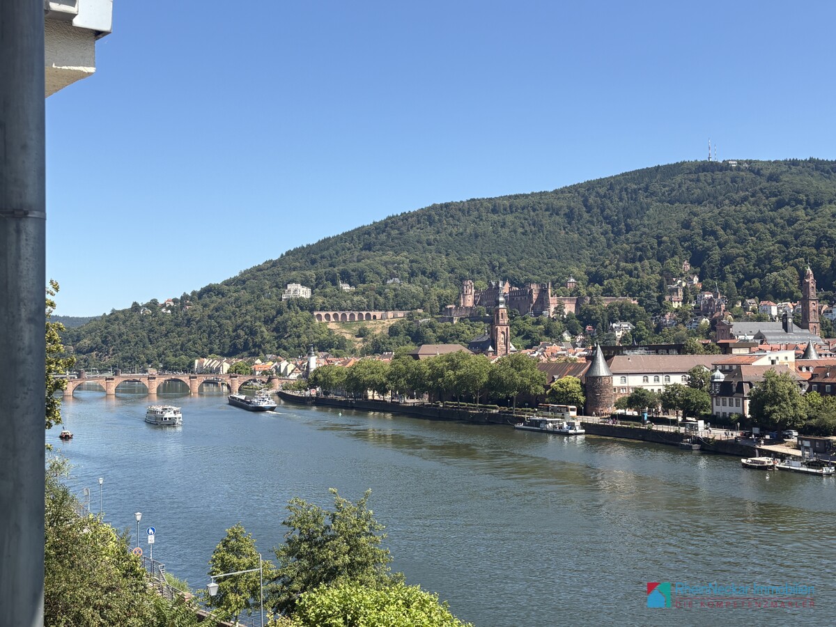 Blick Schloss mit Brücke
