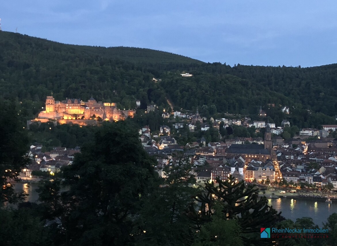 Schloss bei Nacht